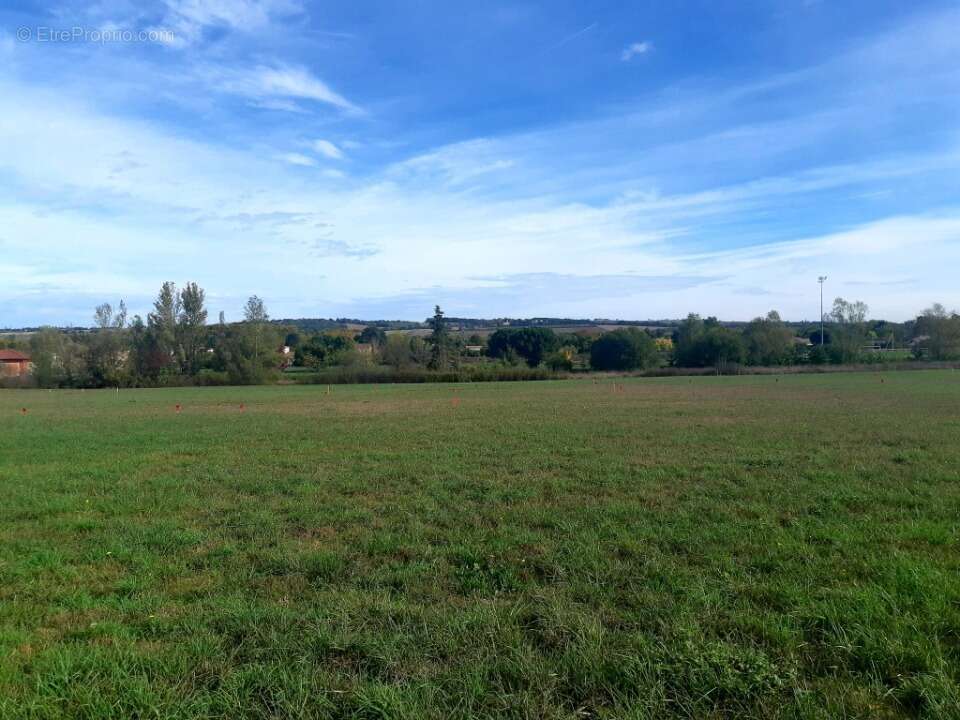 Terrain à VERFEIL