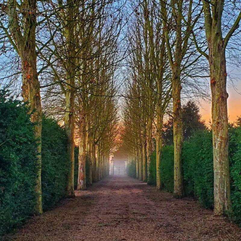 Maison à VITRY-LA-VILLE