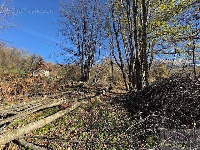 Terrain à ALBIEZ-LE-JEUNE