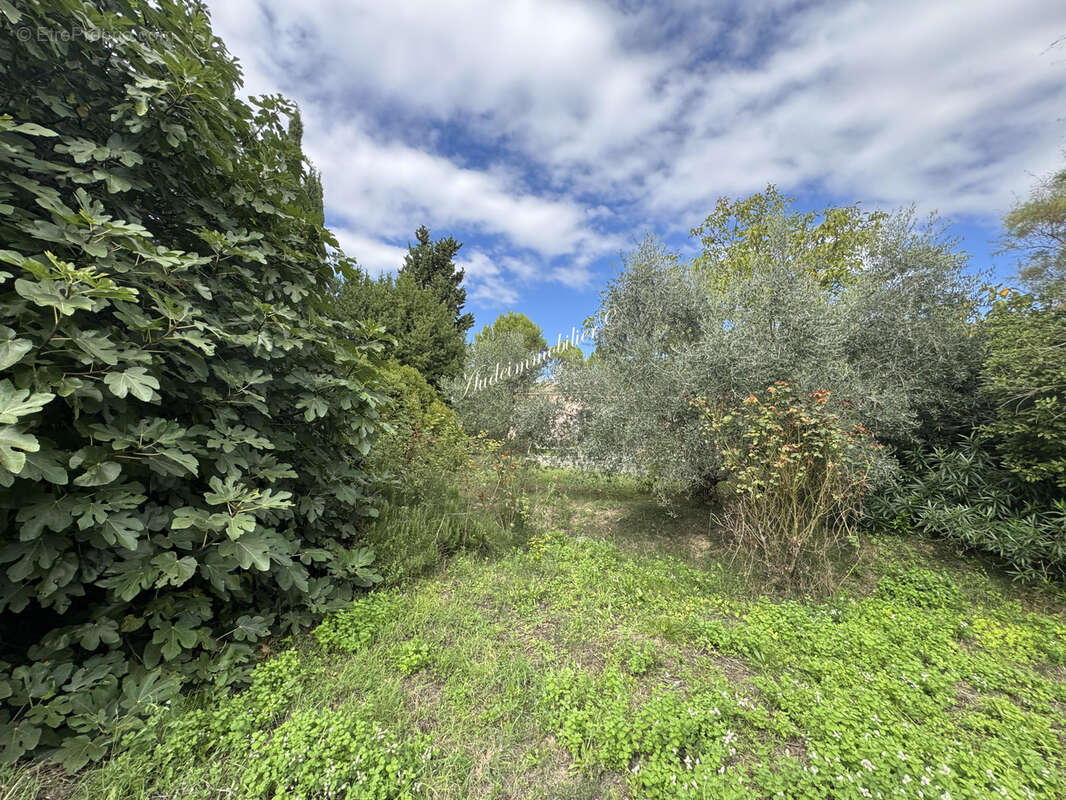villa de plain-pied avec piscine - photo 19