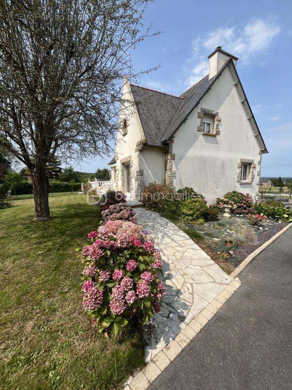 Maison à SAINT-HELEN