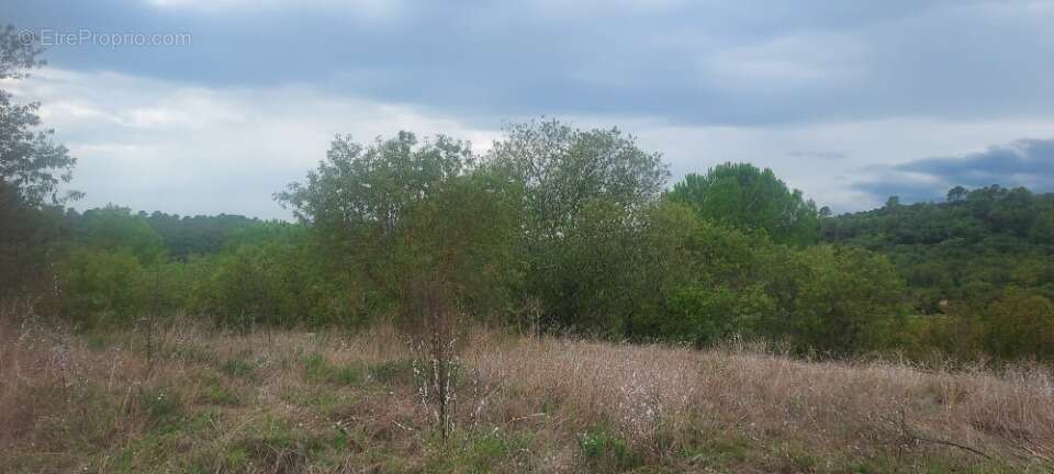 Terrain à CAMPS-LA-SOURCE