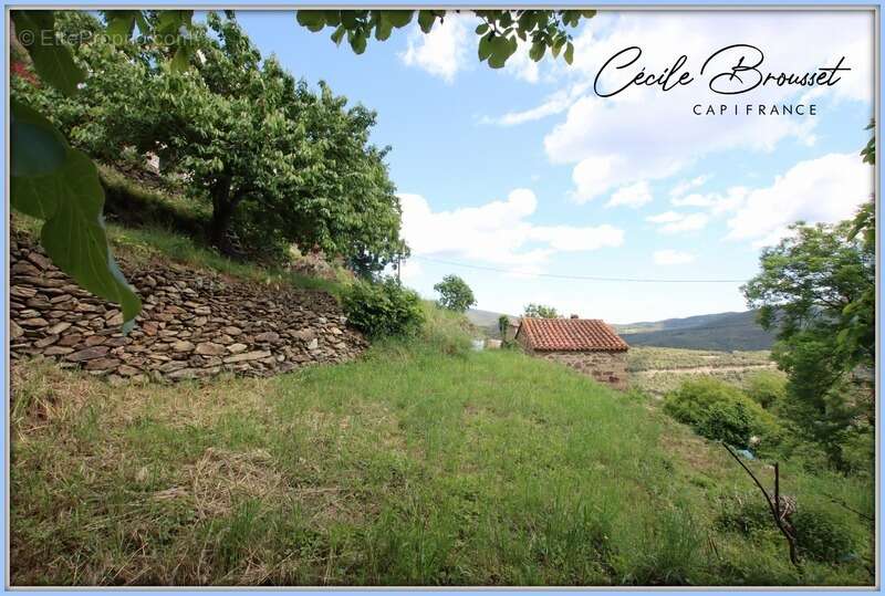 Maison en pierre à vendre 3 pièces TAULIS (66) avec 1377m2 de terrain - photo 2