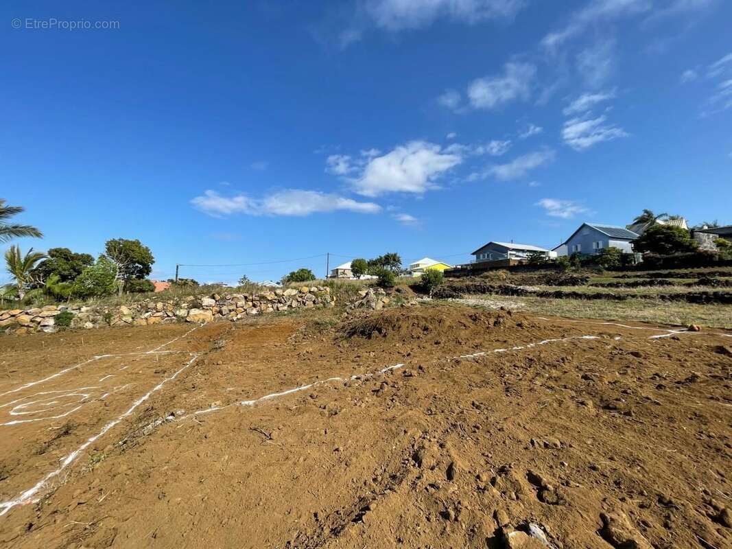 Terrain à PETITE-ILE