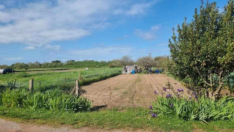 Maison à SAINT-PIERRE-D'OLERON