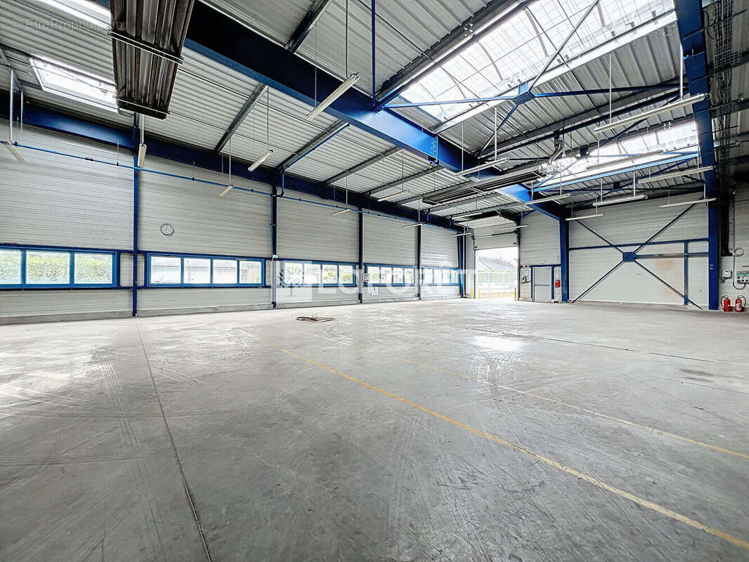 Entrepôt / local industriel Le Puy Notre Dame 4500 m2 - photo 9