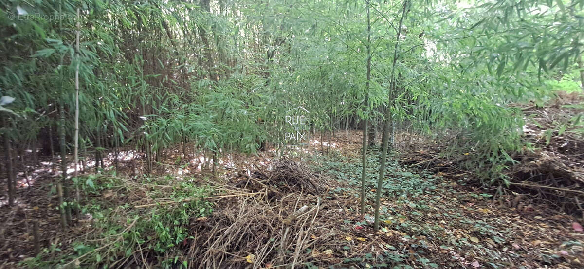 Maison à LENCLOITRE
