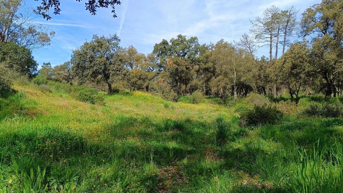 Maison à BORMES-LES-MIMOSAS