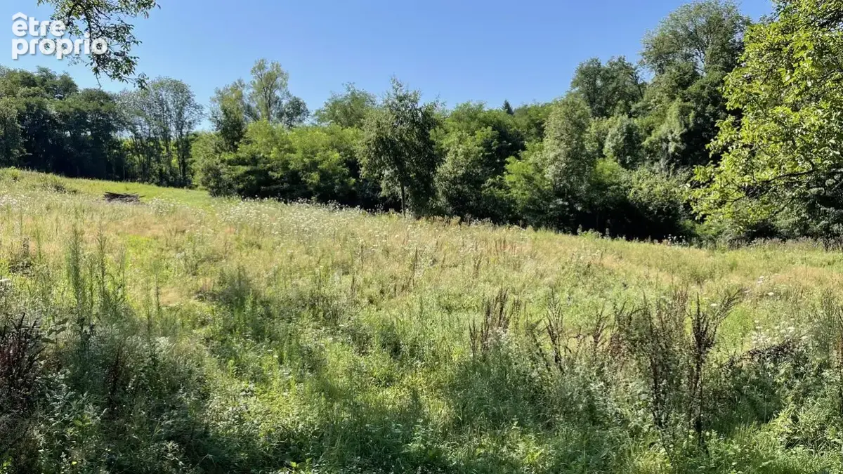 Terrain à THIERS