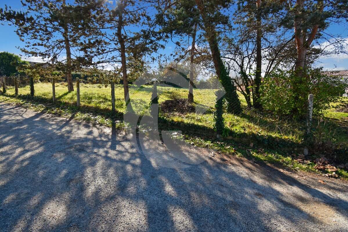 Terrain à NEGREPELISSE