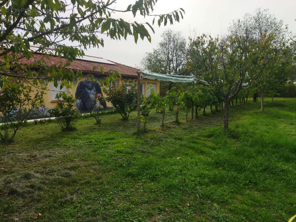 jardin fruitier - Maison à LALBENQUE
