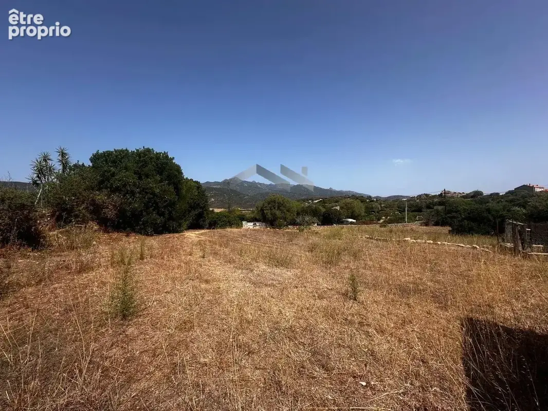 Terrain à bâtir avec permis de construire purgé  – Pianottoli-Caldarello - photo 5