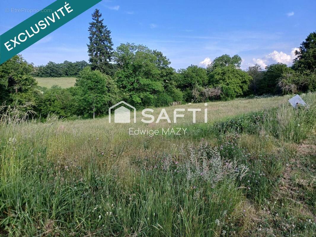 Photo 1 - Terrain à MAINSAT