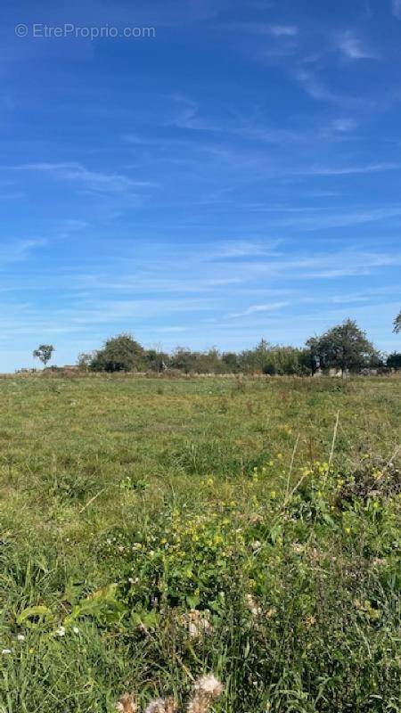 Terrain à JALLAUCOURT