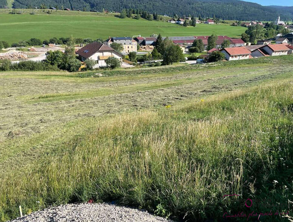 Terrain à MOUTHE