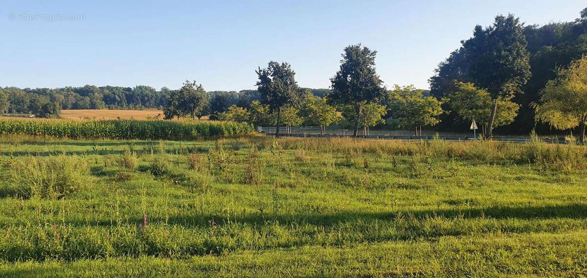 Terrain à RANTZWILLER