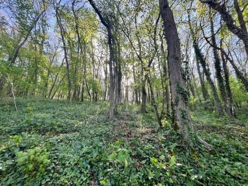 Terrain à AVAILLES-THOUARSAIS
