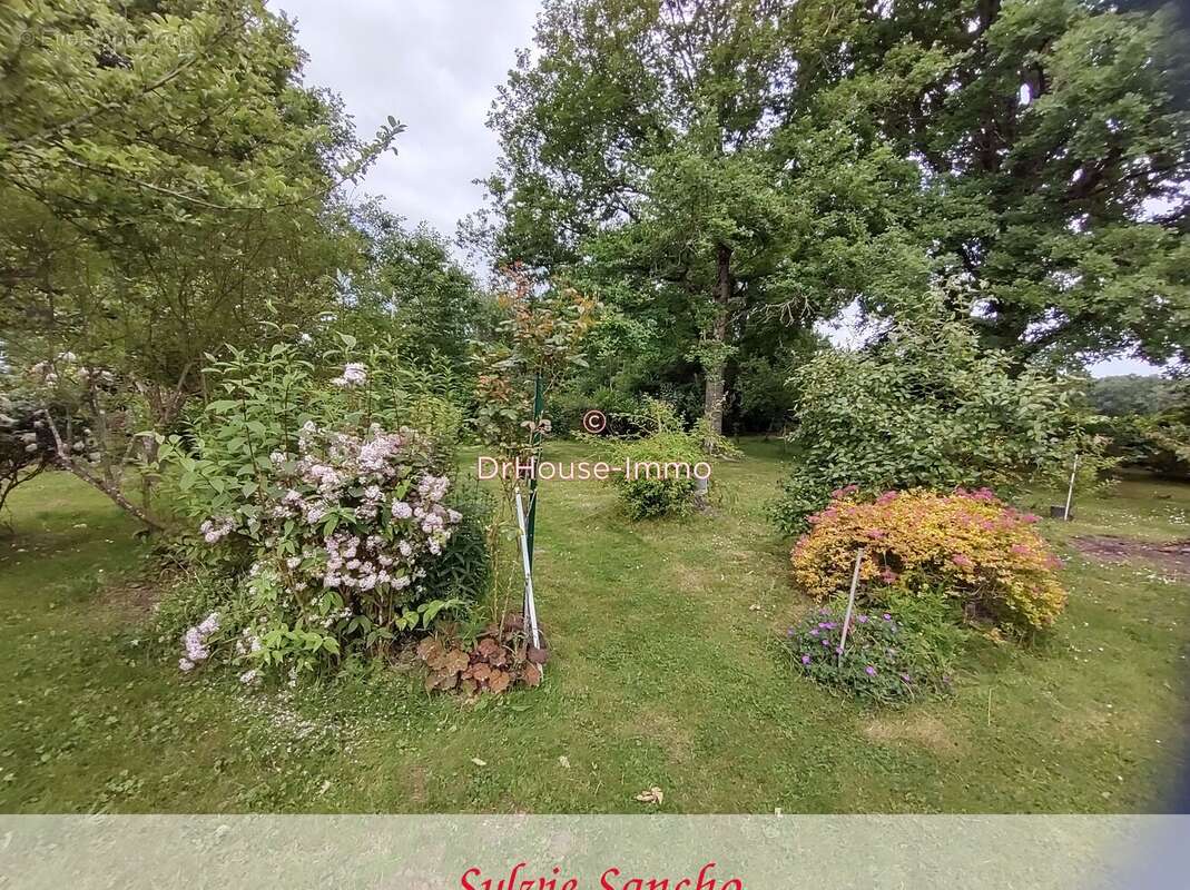 Maison à PELLEVOISIN