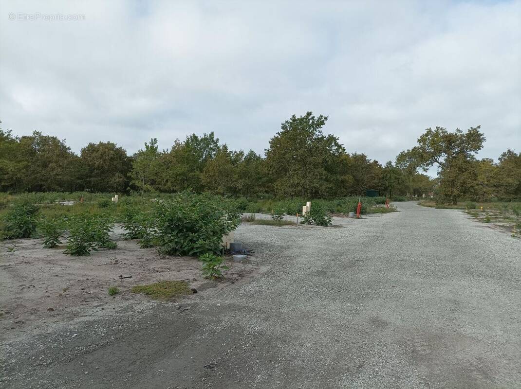 Terrain à LABOUHEYRE