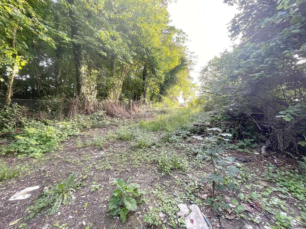 Terrain 2885 m² à Guignicourt-Sur-Vence  - photo 2