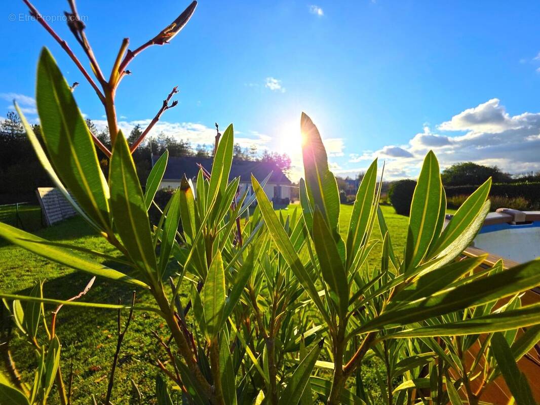 Photo 1 - Maison à BAUGE