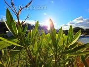 Photo 1 - Maison à BAUGE