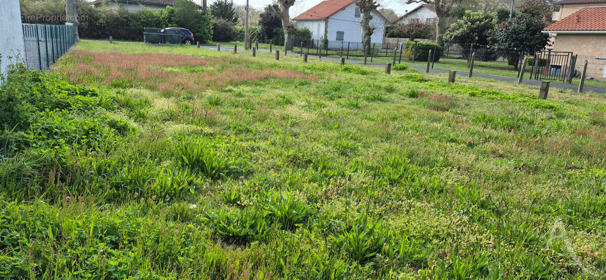Terrain à SOUSTONS