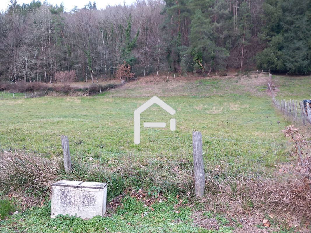 Terrain à MONCEAUX-SUR-DORDOGNE