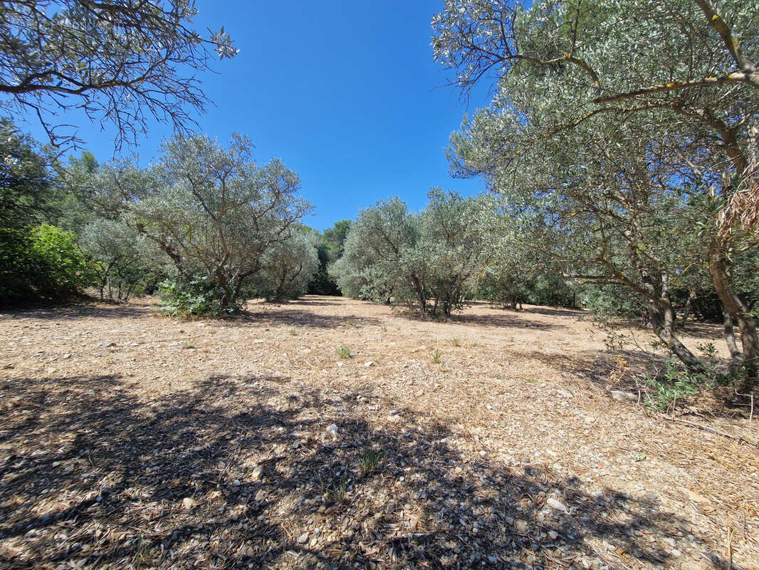 Terrain à CAVAILLON