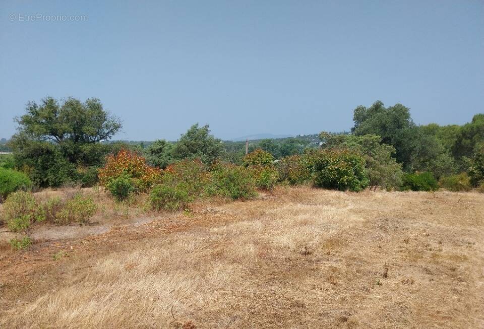 Terrain à FREJUS