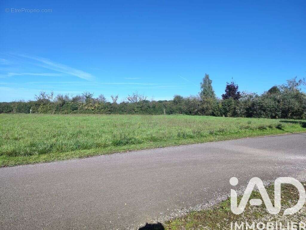 Photo 5 - Terrain à CHAMPAGNE-LE-SEC