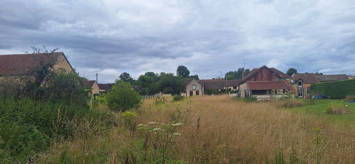Terrain à VULAINES