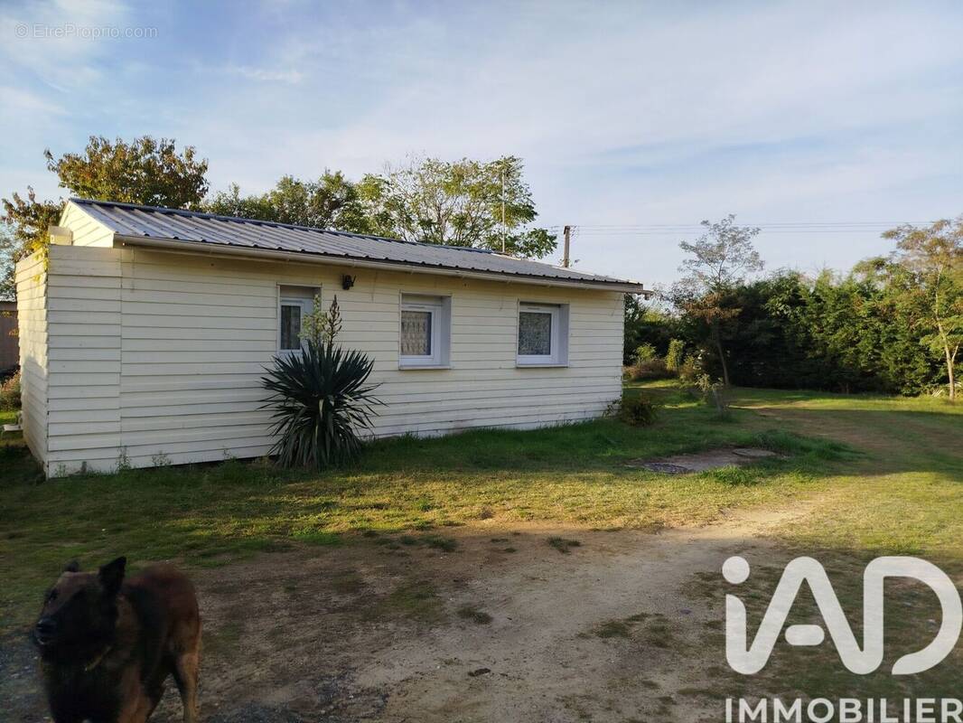 Photo 1 - Terrain à CHINON