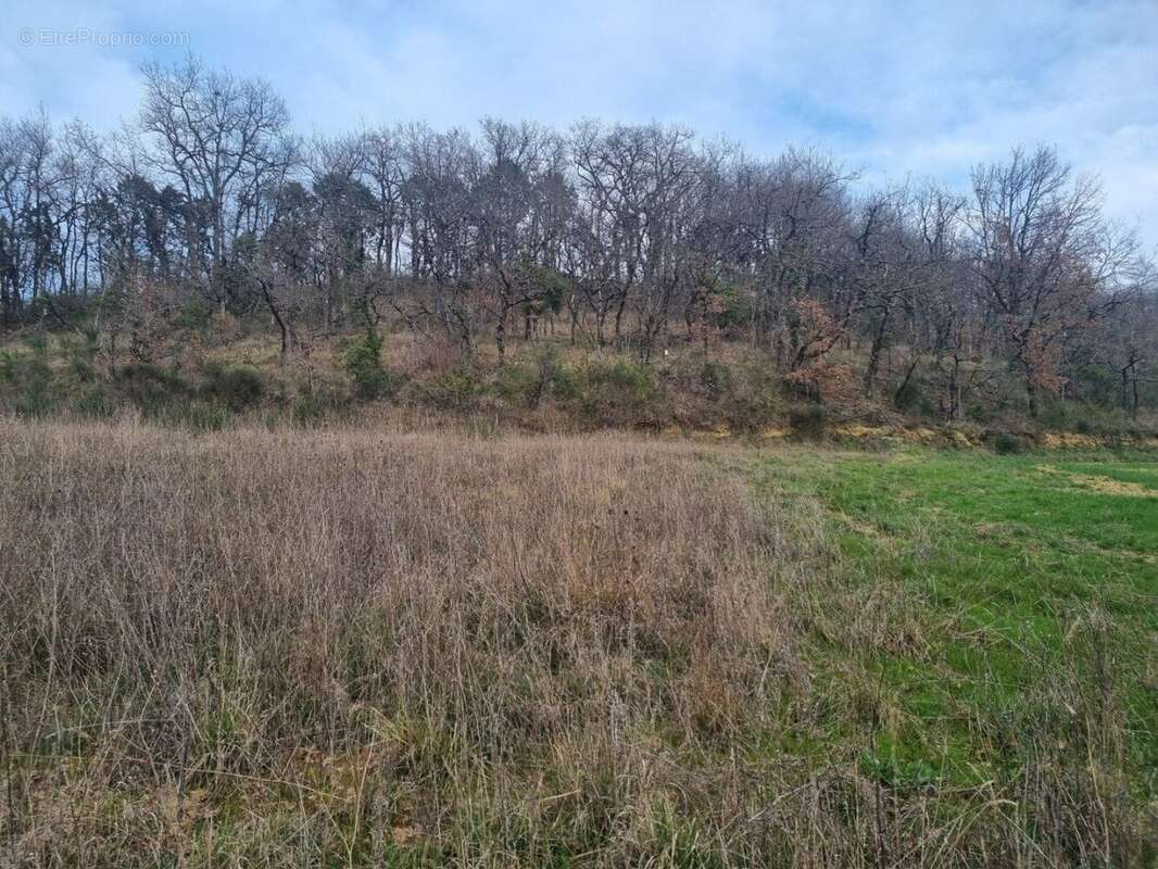 Terrain à AUCH