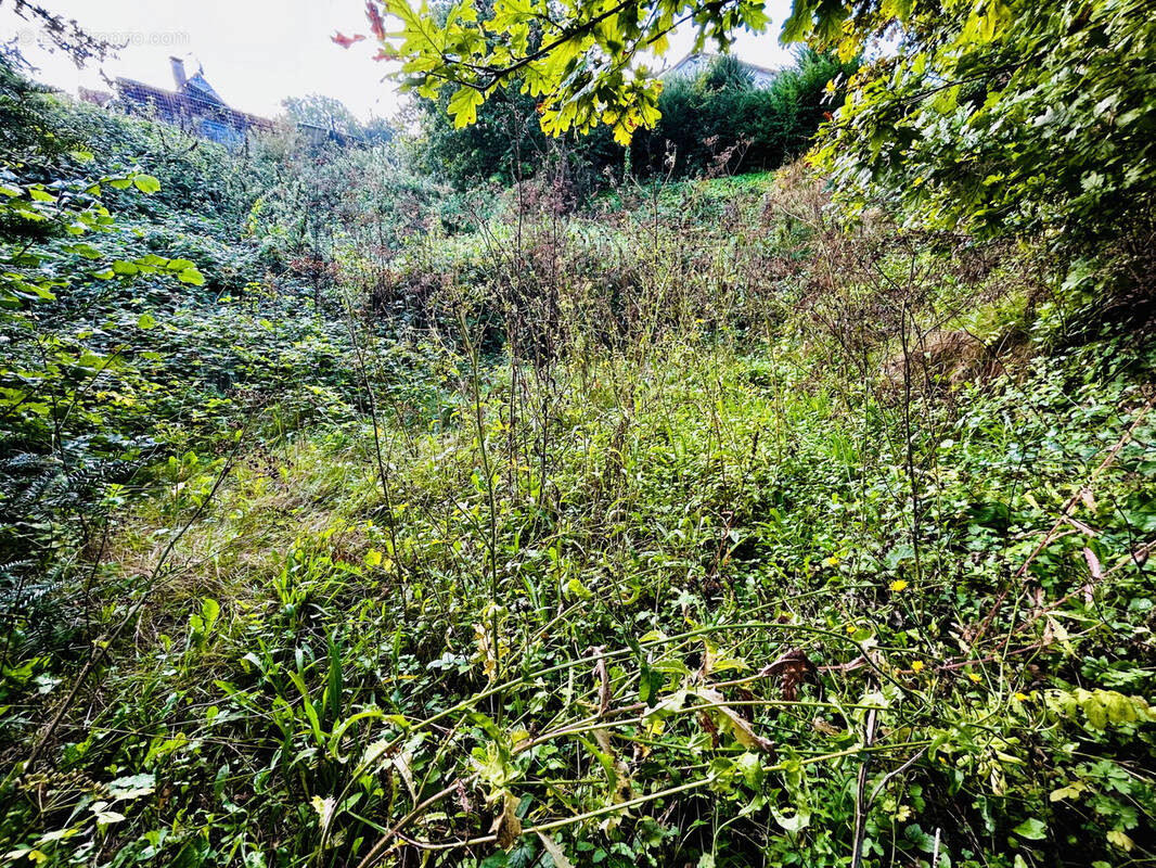 Terrain à CRECY-LA-CHAPELLE