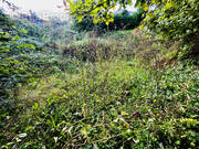 Terrain à CRECY-LA-CHAPELLE