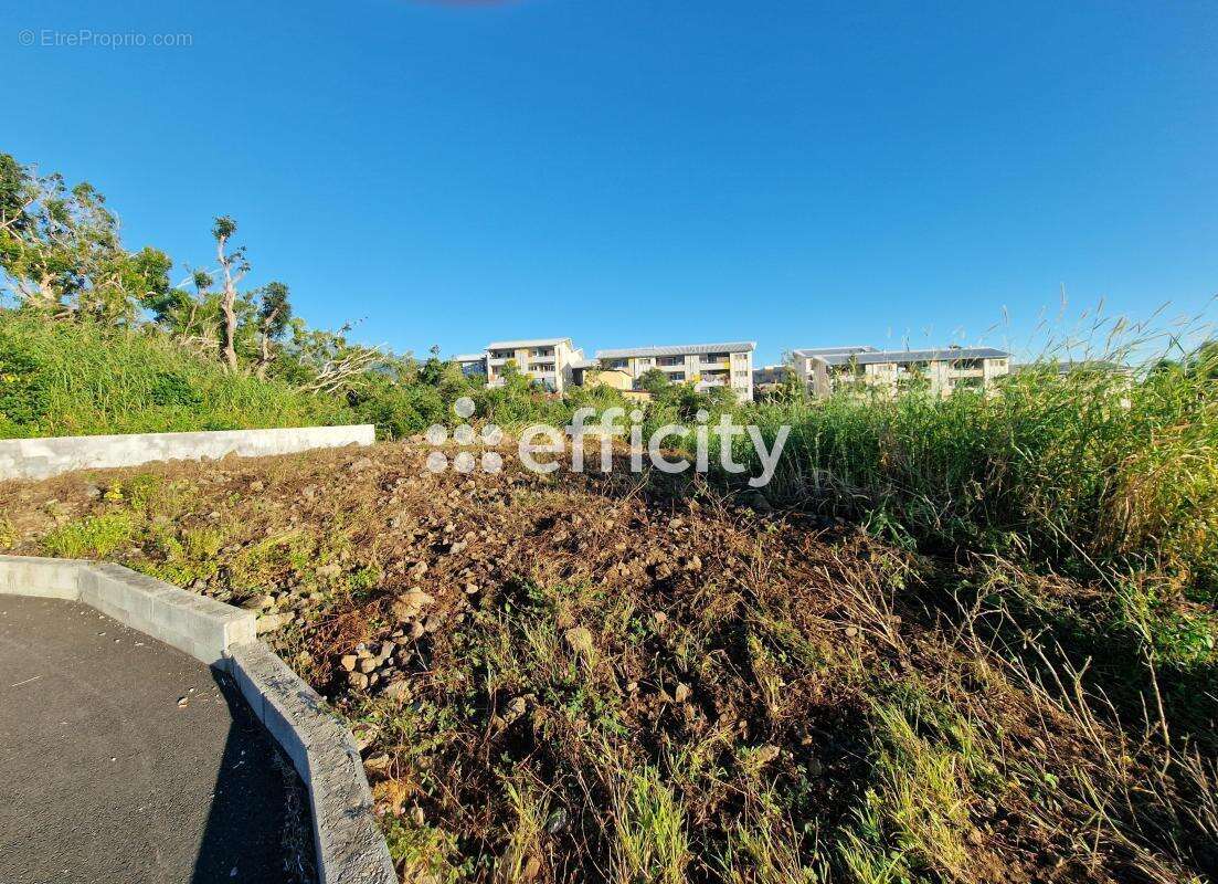 Terrain à SAINT-BENOIT