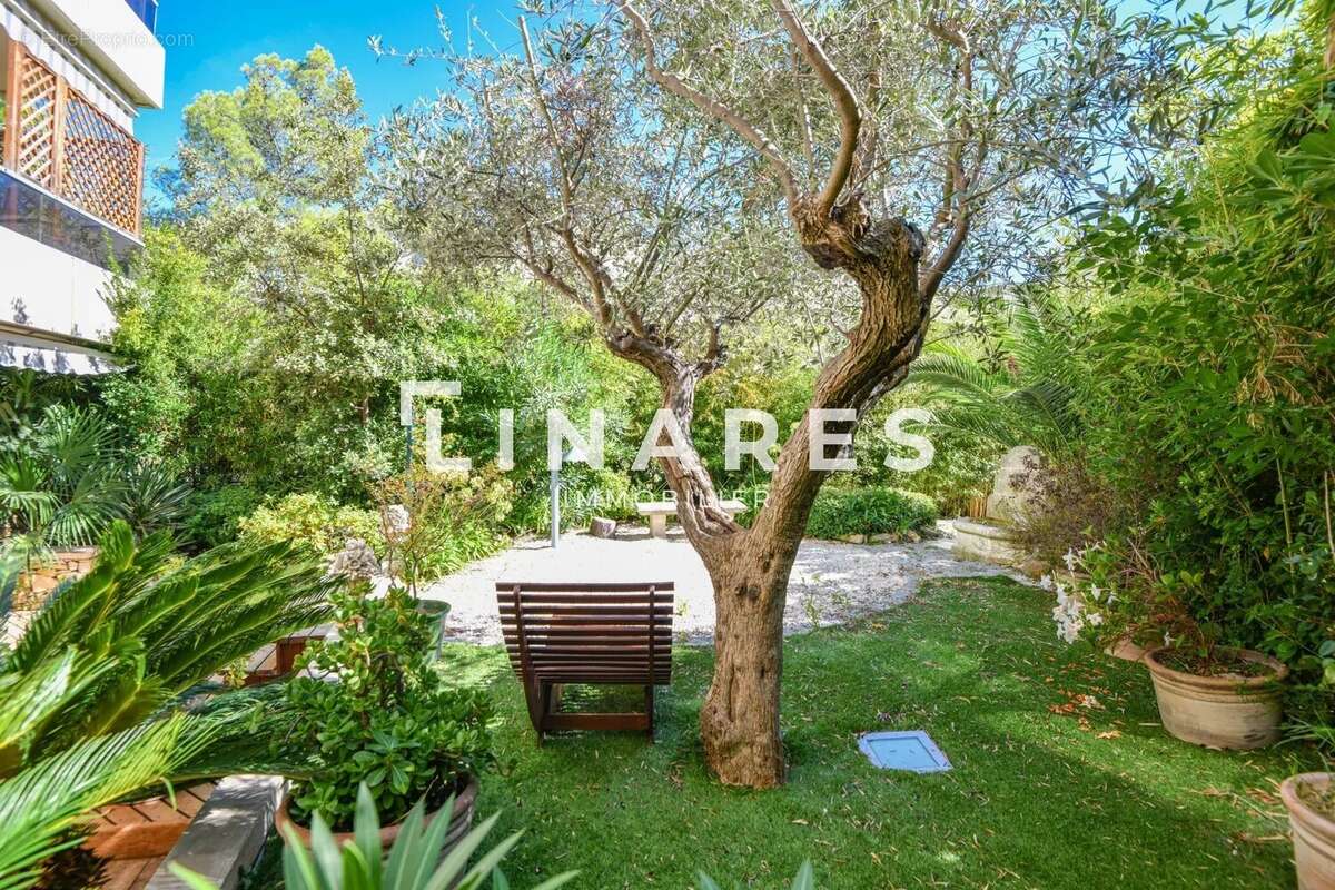 Appartement à MARSEILLE-8E