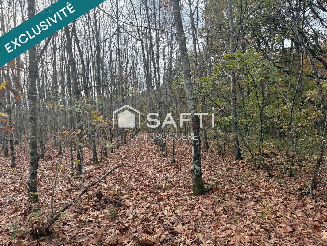 Photo 2 - Terrain à ESCATALENS