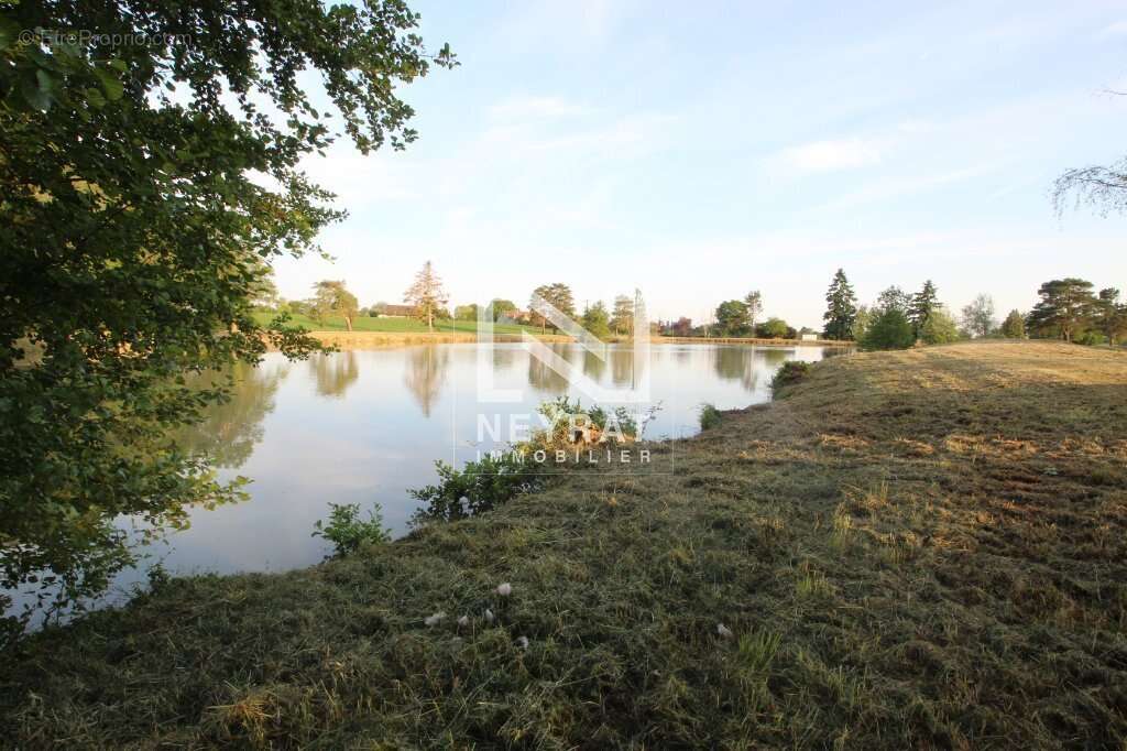 Etang avec sources - photo 18