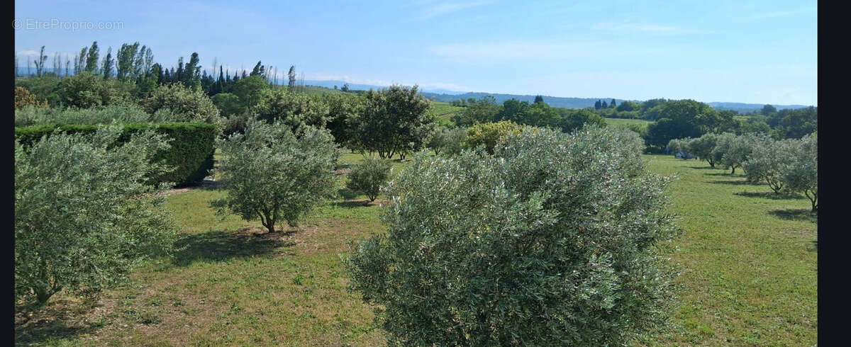 Terrain à PEZENS