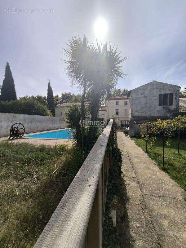 Grande maison vigneronne avec piscine, gîte et dépendances - photo 17