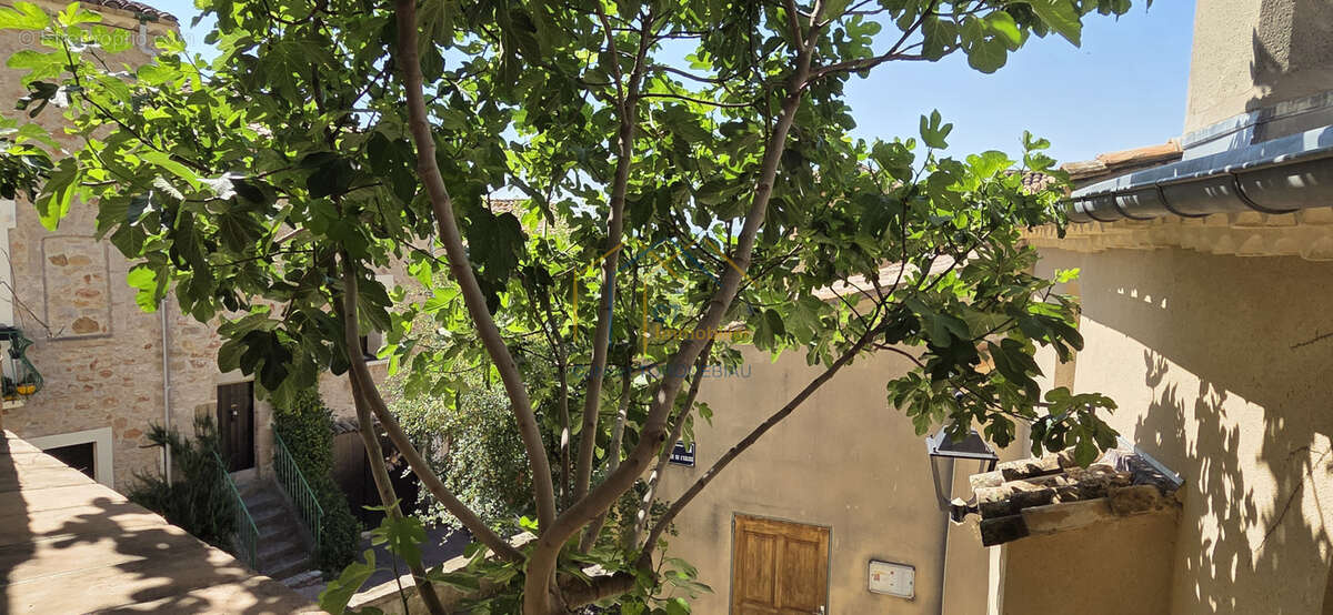 Maison à ARBORAS