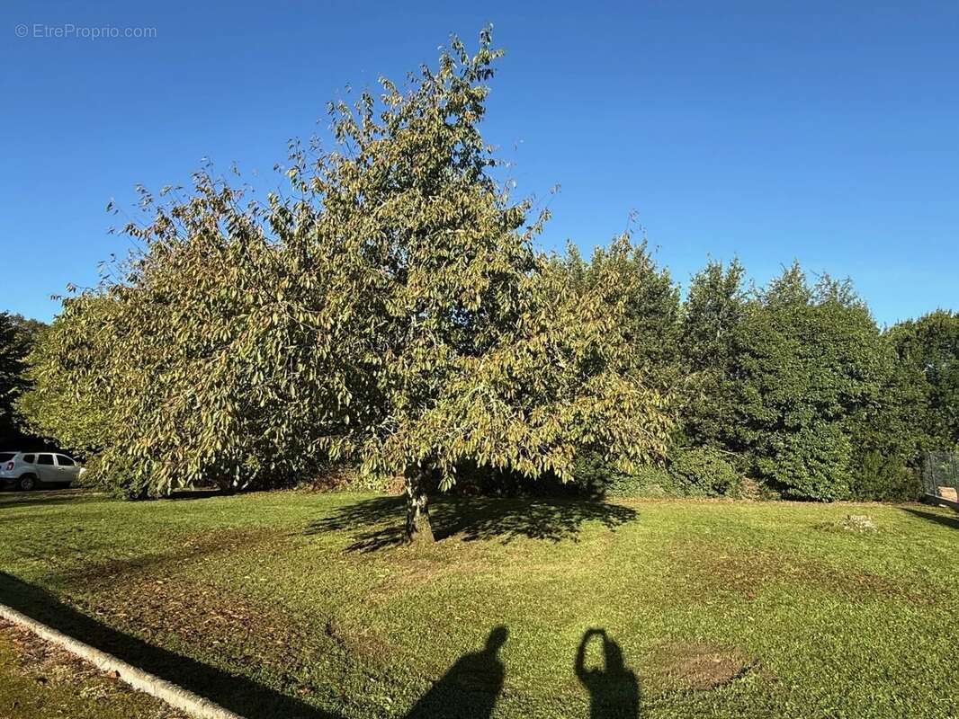 Terrain à SAINT-MARTIN-LACAUSSADE