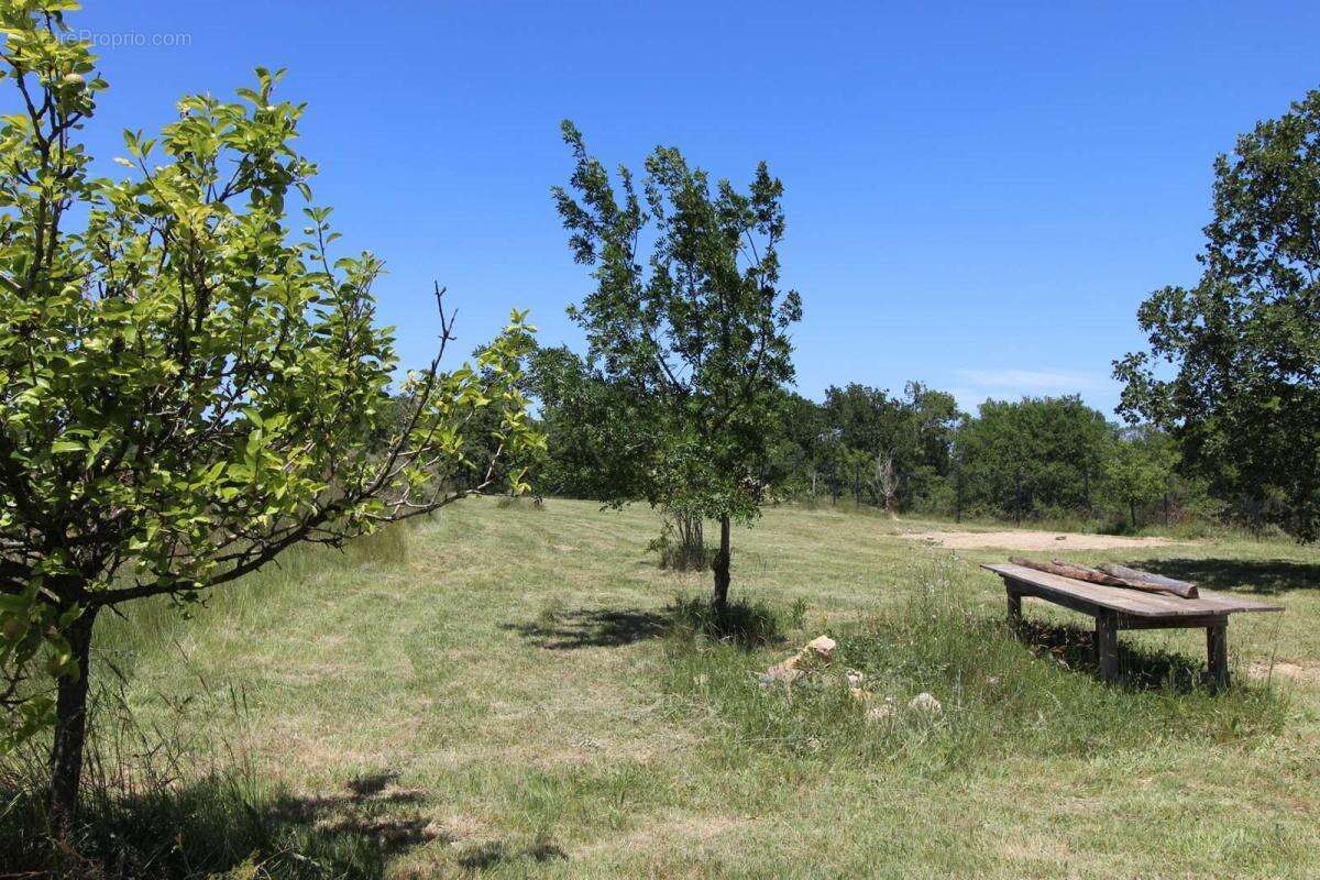 Terrain agricole ou de loisirs de 10 145 m² , entièrement clôturé et sécurisé - photo 5
