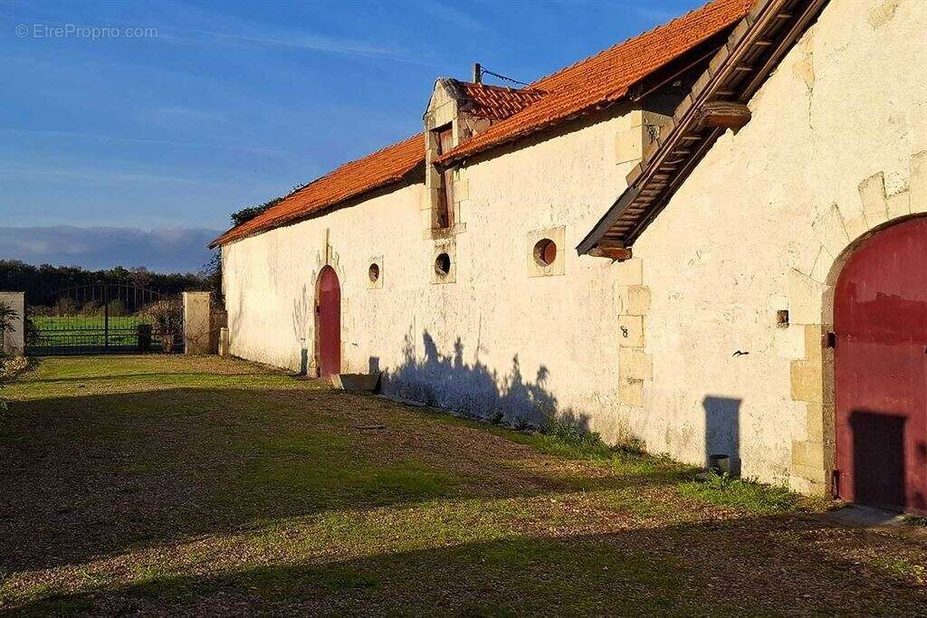 Côteaux-sur-Loire - Touraine - 37130 - 350 M² - 10 pièces - 7 chambres - piscine - parc 6 hectares - photo 19