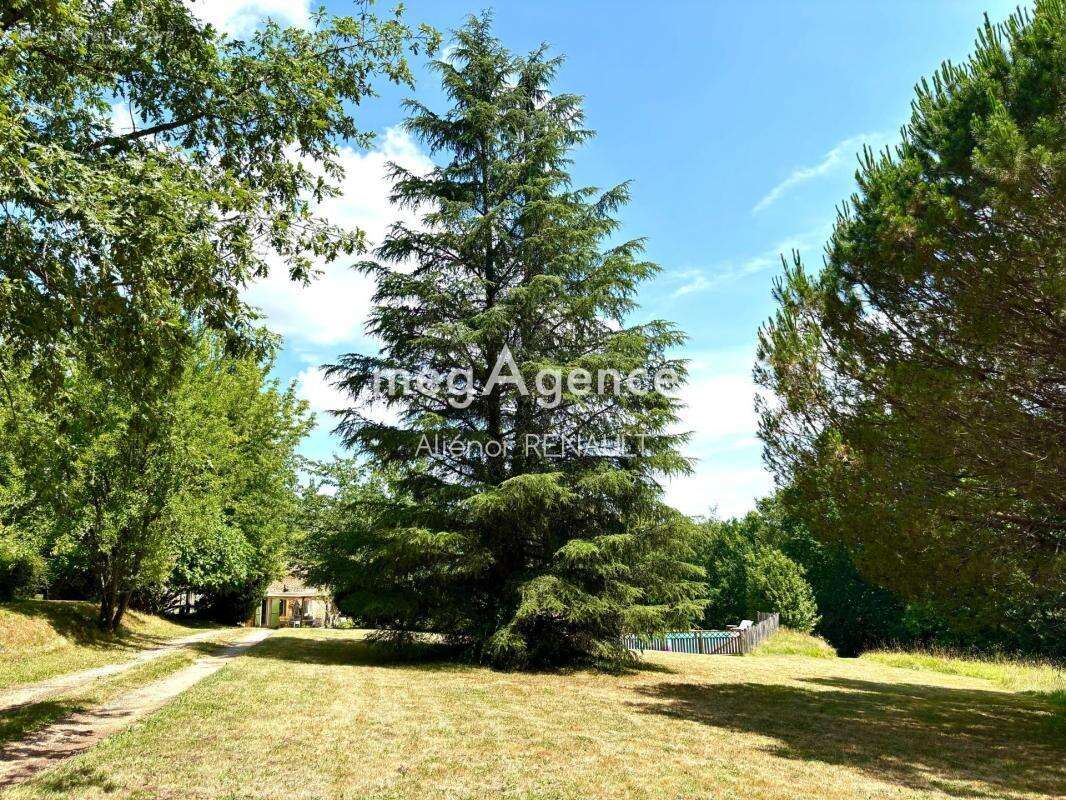 Maison en pierre avec piscine, gîte et dépendances - 203 m2 - photo 19