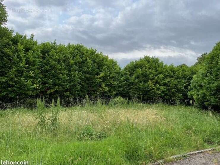 Terrain à LORIOL-SUR-DROME