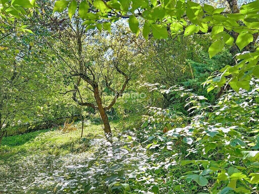 Maison avec jardin et local commercial - photo 14
