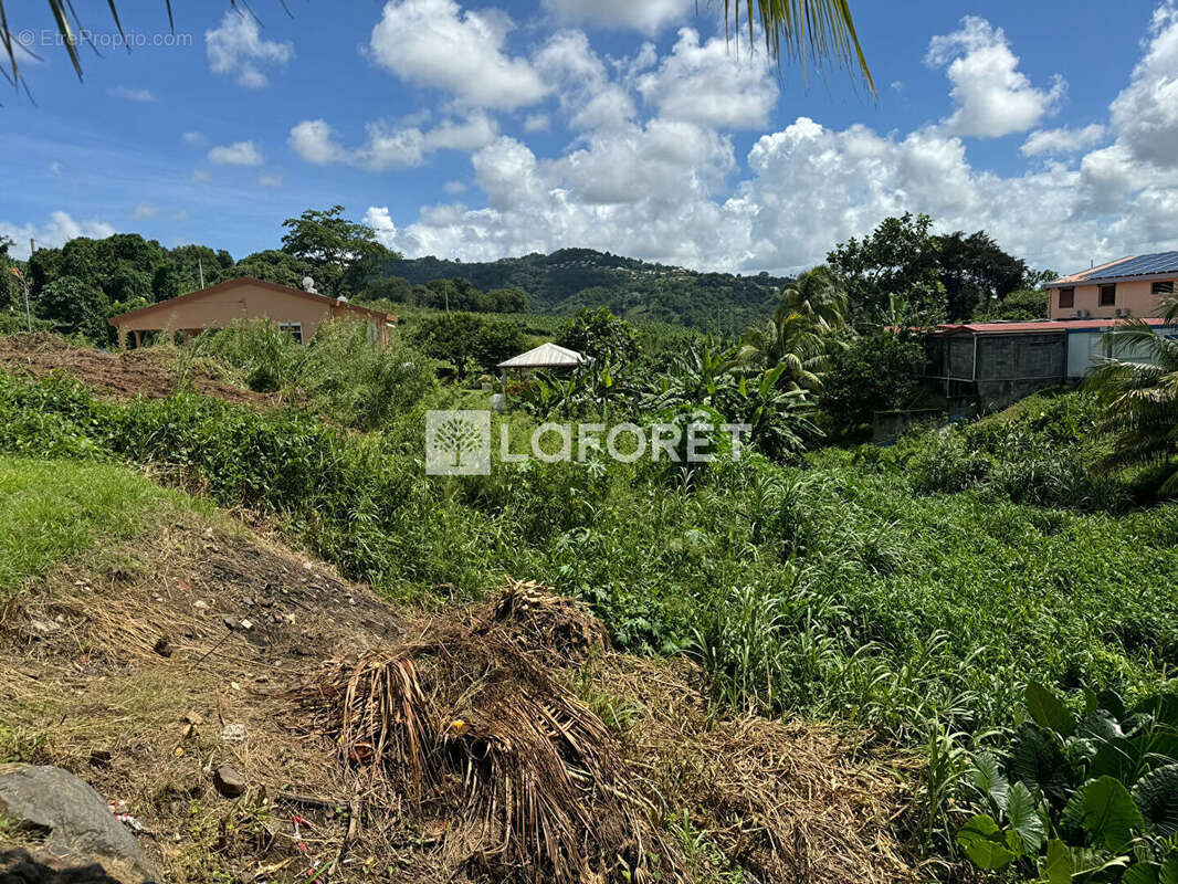 Terrain à LE LAMENTIN
